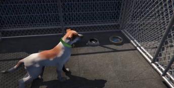 Animal Shelter PC Screenshot