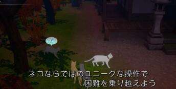 Cat Island Petrichor