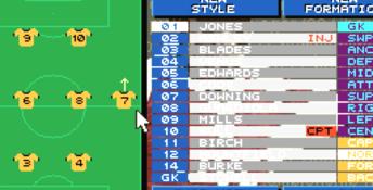 Championship Manager 93 PC Screenshot