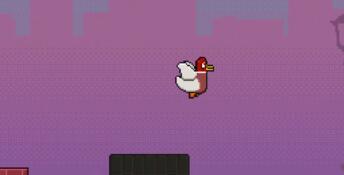 Duck's Despair PC Screenshot