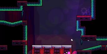 Fowl Damage