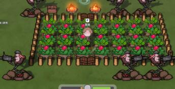 Fox Sex Farm