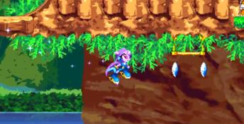 Freedom Planet PC Screenshot