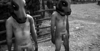 Horses