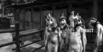 Horses PC Screenshot