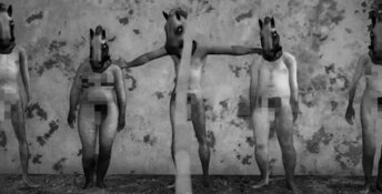 Horses PC Screenshot