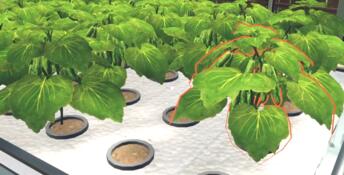 Hydroponics Farm & Store Simulator