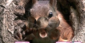 I Love Finding Critters PC Screenshot