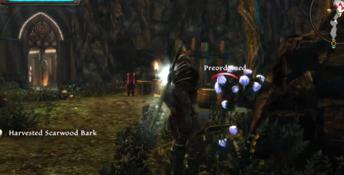 Kingdoms of Amalur: Re-Reckoning - Fatesworn PC Screenshot