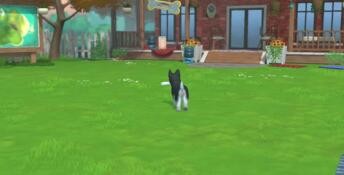 Little Friends: Puppy Island PC Screenshot