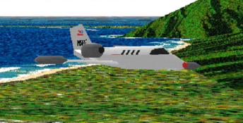 Microsoft Flight Simulator 5.0 PC Screenshot