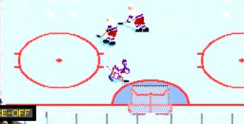 NHL Hockey PC Screenshot