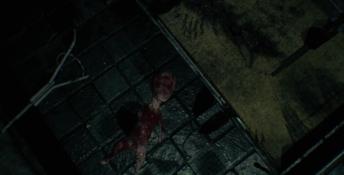 Omitted PC Screenshot