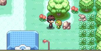 Pokémon 'H' Version PC Screenshot