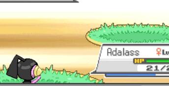 Pokémon 'H' Version PC Screenshot