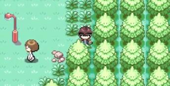 Pokémon 'H' Version PC Screenshot