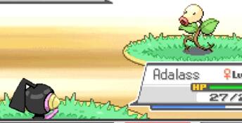 Pokémon 'H' Version PC Screenshot