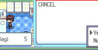 Pokémon 'H' Version PC Screenshot