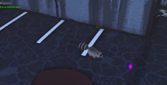 Raccoon Tales