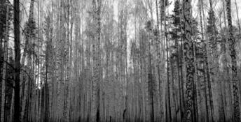 Russian Psychiatric Pastoral PC Screenshot