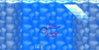 Shantae Advance: Risky Revolution