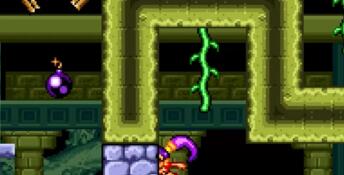 Shantae Advance: Risky Revolution PC Screenshot