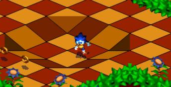 Sonic Mega Collection Plus PC Screenshot