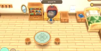 STORY OF SEASONS: Friends of Mineral Town