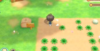 STORY OF SEASONS: Friends of Mineral Town