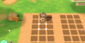 STORY OF SEASONS: Friends of Mineral Town PC Screenshot