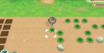 STORY OF SEASONS: Friends of Mineral Town PC Screenshot