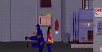 Surf Ninjas PC Screenshot