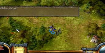 The Settlers: Heritage of Kings - Expansion Disc PC Screenshot