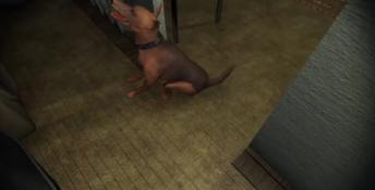 Timore 6 PC Screenshot