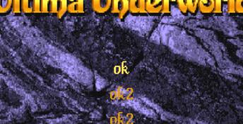 Ultima Underworld: The Stygian Abyss PC Screenshot