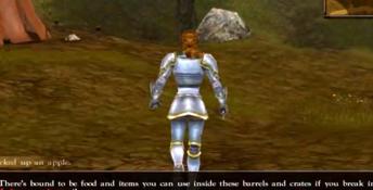Wars and Warriors: Joan of Arc PC Screenshot