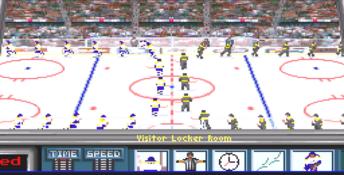 Wayne Gretzky Hockey PC Screenshot