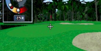 World Cup Golf PC Screenshot
