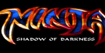 Ninja: Shadow Of Darkness Playstation Screenshot