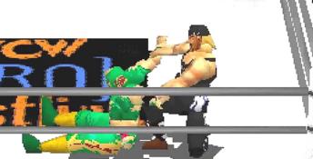 WCW vs The World Playstation Screenshot