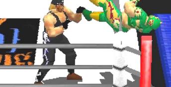 WCW vs The World Playstation Screenshot