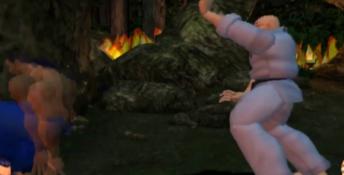 Fighting Fury Playstation 2 Screenshot