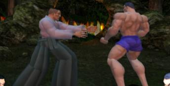 Fighting Fury Playstation 2 Screenshot