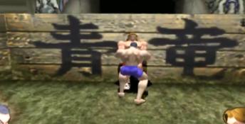 Fighting Fury Playstation 2 Screenshot