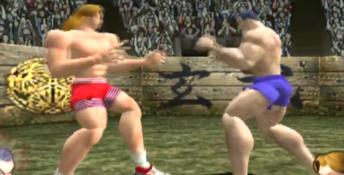 Fighting Fury Playstation 2 Screenshot