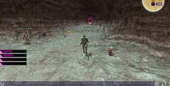 Final Fantasy XI Online Playstation 2 Screenshot
