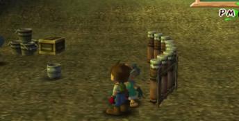 Harvest Moon: A Wonderful Life Playstation 2 Screenshot