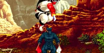 Samurai Shodown Anthology Playstation 2 Screenshot