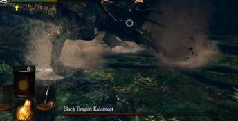 Dark Souls Playstation 3 Screenshot