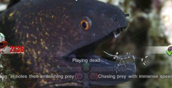 Nat Geo Challenge Wild Life Playstation 3 Screenshot